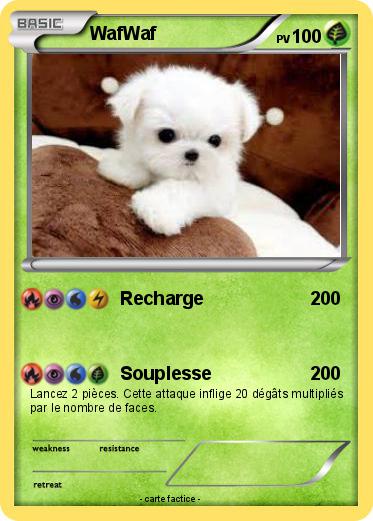 Pokemon WafWaf