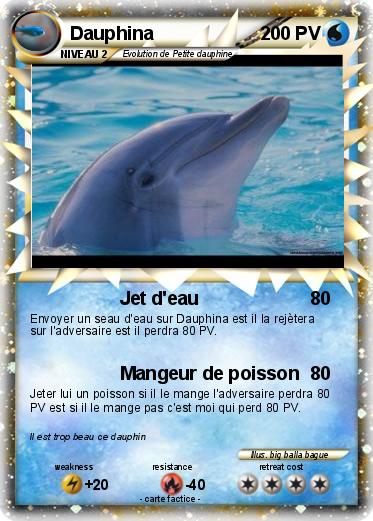 Pokemon Dauphina