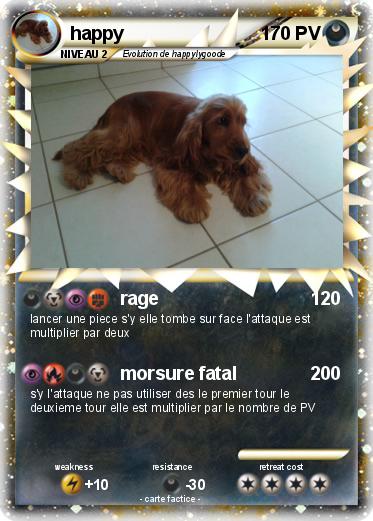 Pokemon happy