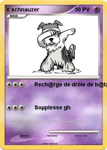 Pokemon X schnauzer