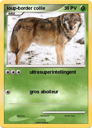 Pokemon loup-border collie