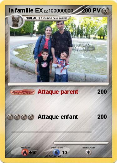 Pokemon la famille EX