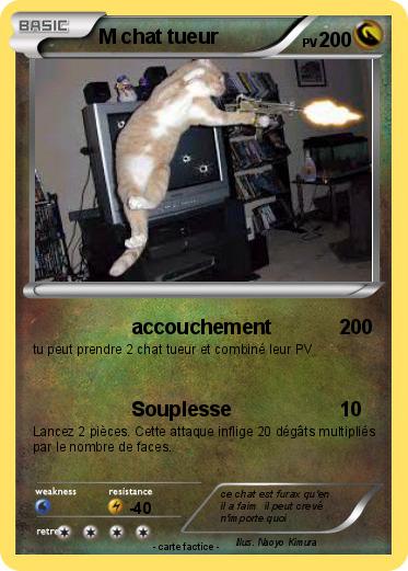 Pokemon M chat tueur