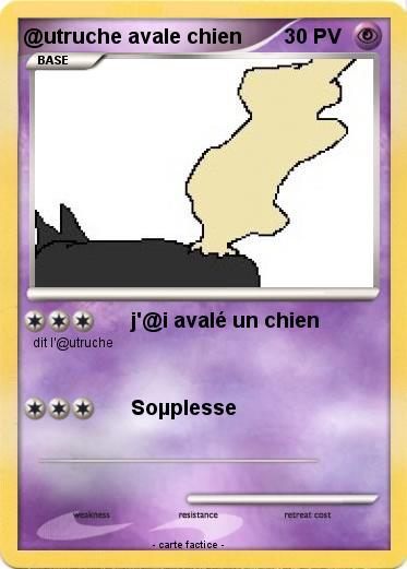 Pokemon @utruche avale chien