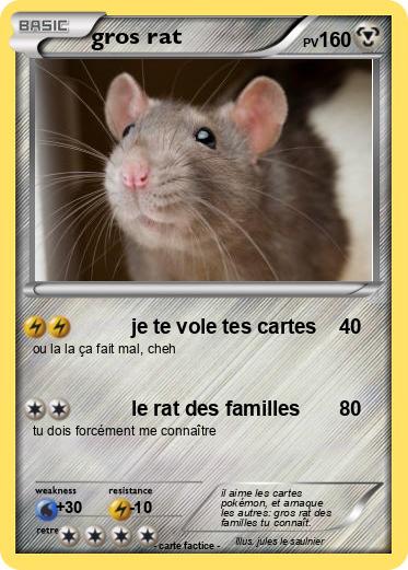Pokemon gros rat