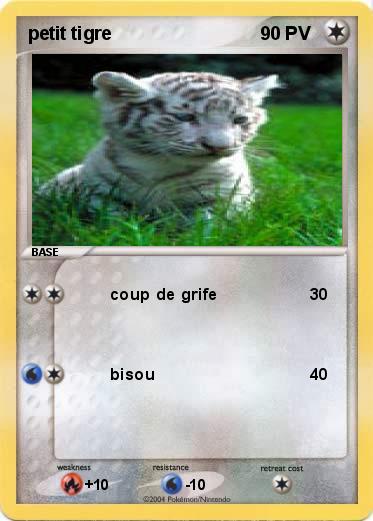 Pokemon petit tigre