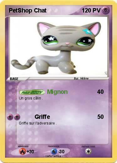 Pokemon PetShop Chat