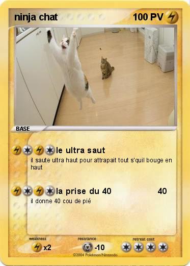 Pokemon ninja chat