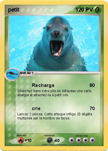Pokemon petit 