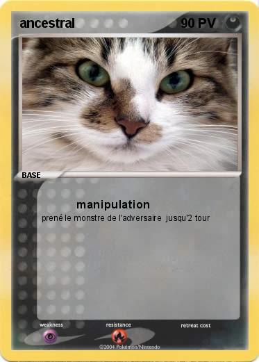 Pokemon ancestral