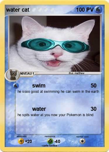 Pokemon water cat