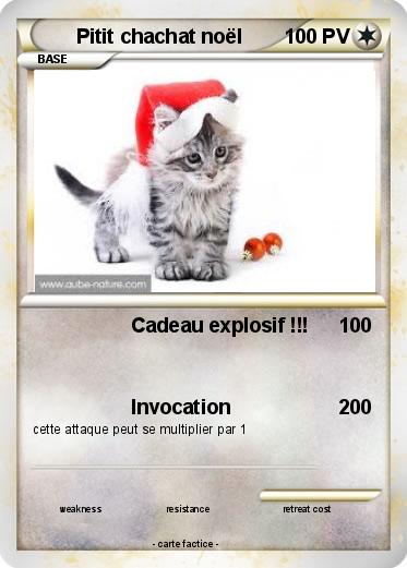 Pokemon Pitit chachat noël