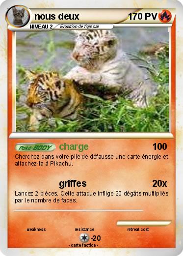 Pokemon nous deux