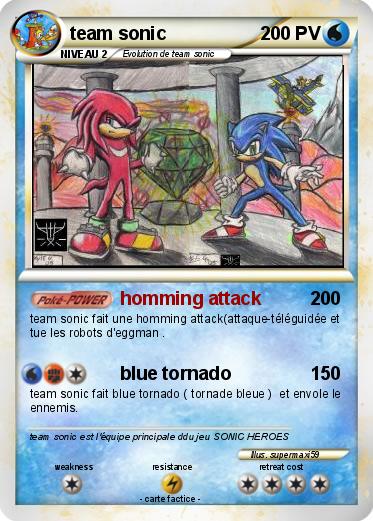 Pokemon team sonic