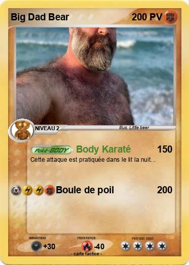 Pokemon Big Dad Bear