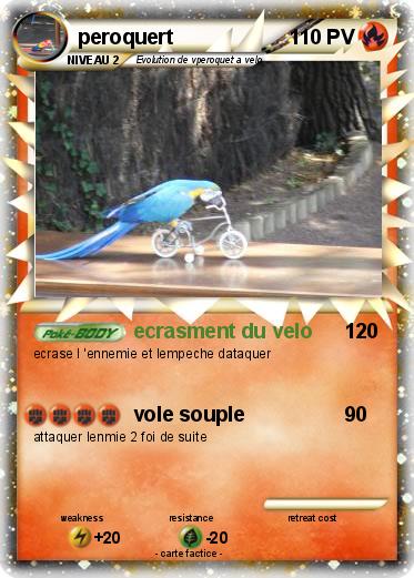 Pokemon peroquert