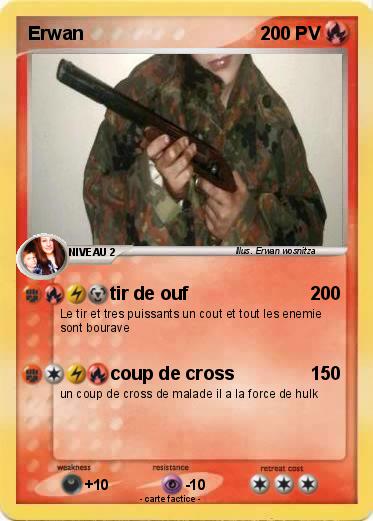 Pokemon Erwan