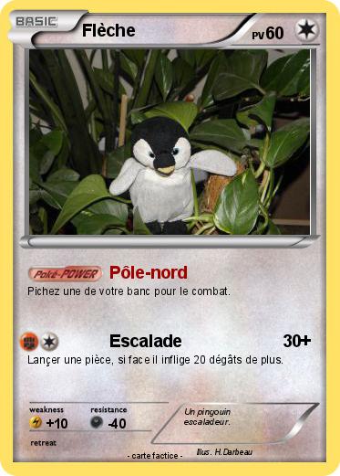 Pokemon Flèche