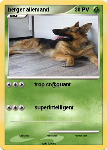 Pokemon berger allemand