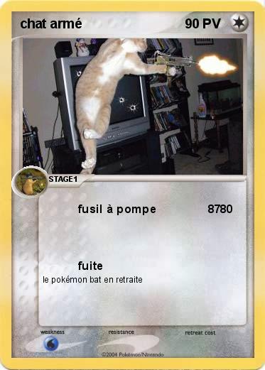 Pokemon chat armé
