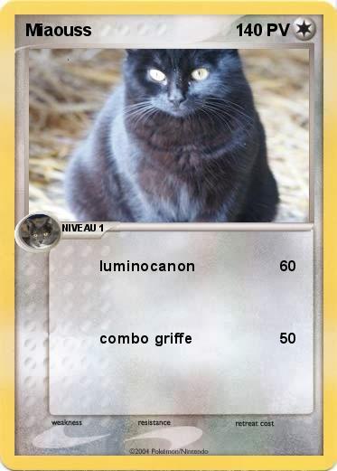 Pokemon Miaouss