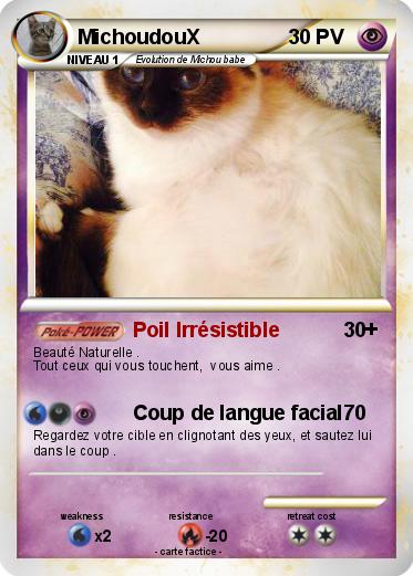 Pokemon MichoudouX