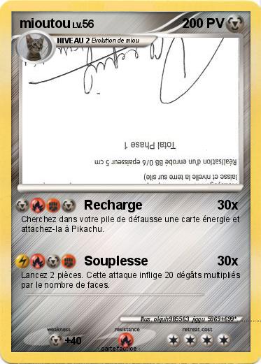 Pokemon mioutou