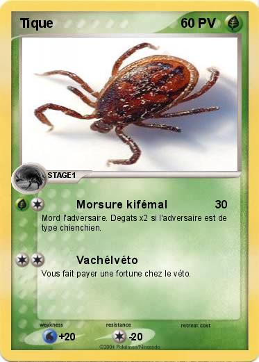 Pokemon Tique
