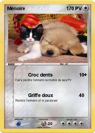 Pokemon Ménoire