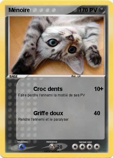 Pokemon Ménoire
