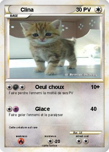 Pokemon Clina