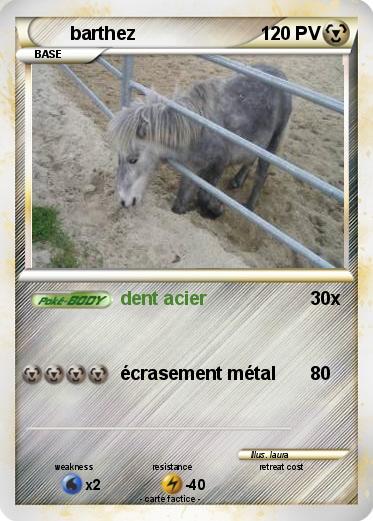 Pokemon barthez