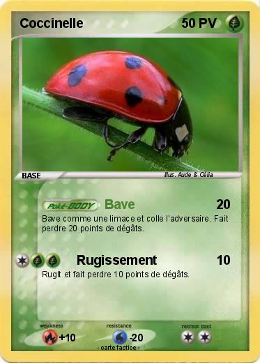 Pokemon Coccinelle