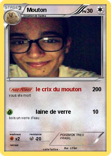 Pokemon Mouton