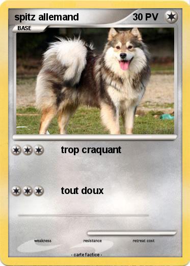 Pokemon spitz allemand