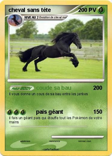 Pokemon cheval sans téte