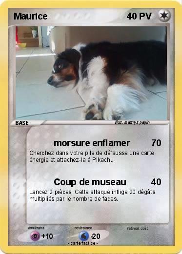 Pokemon Maurice