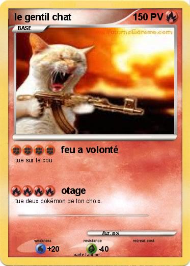 Pokemon le gentil chat