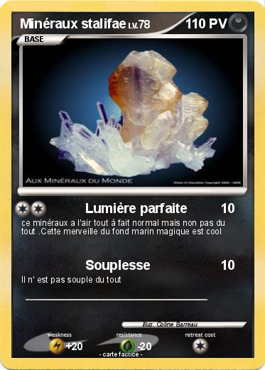 Pokemon Minéraux stalifae