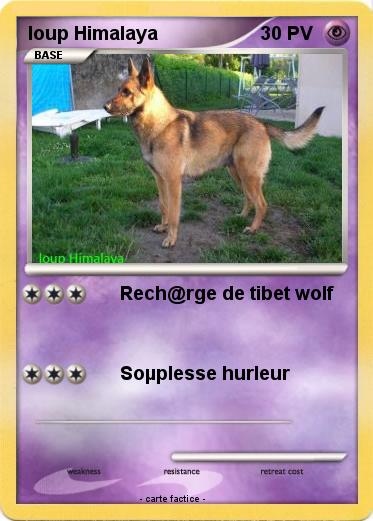 Pokemon loup Himalaya