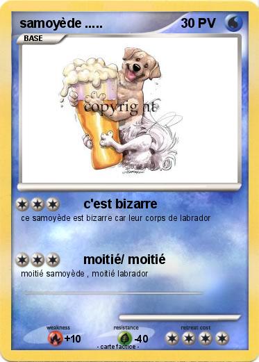 Pokemon samoyède .....