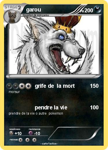 Pokemon garou