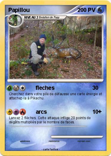 Pokemon Papillou