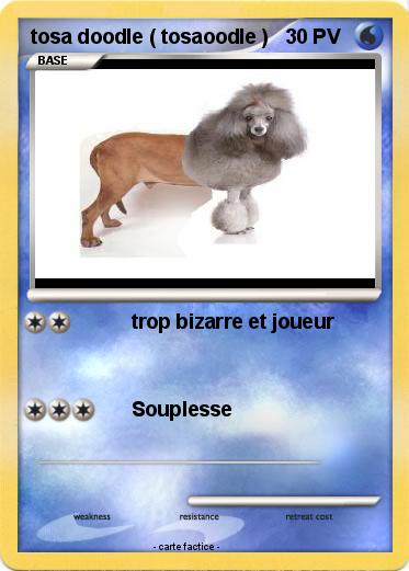Pokemon tosa doodle ( tosaoodle )