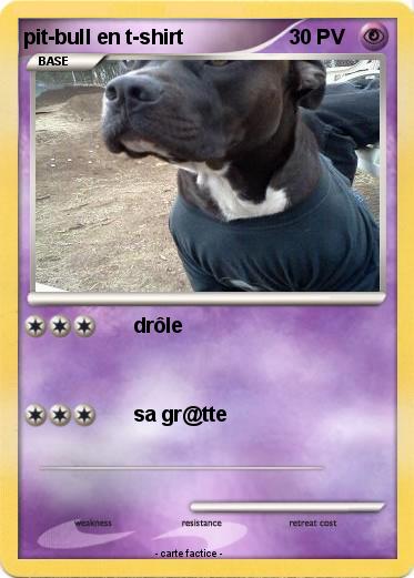 Pokemon pit-bull en t-shirt