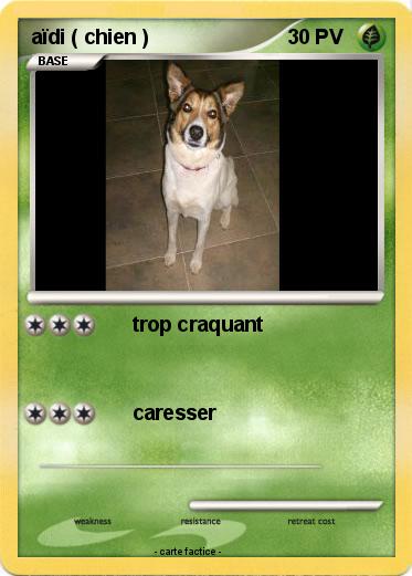 Pokemon aïdi ( chien )