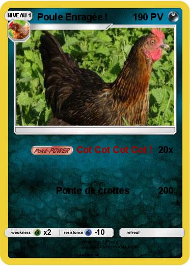 Pokemon Poule Enragée !
