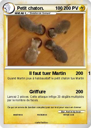 Pokemon Petit chaton.         100