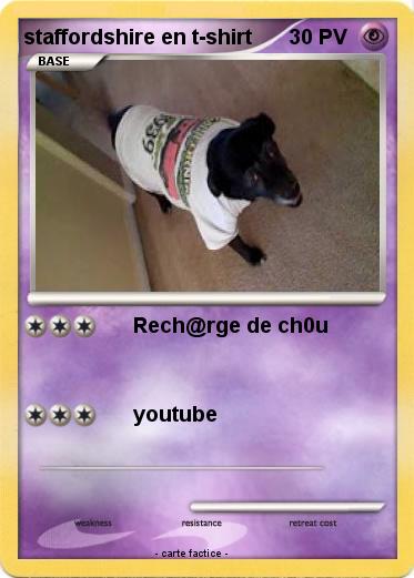 Pokemon staffordshire en t-shirt