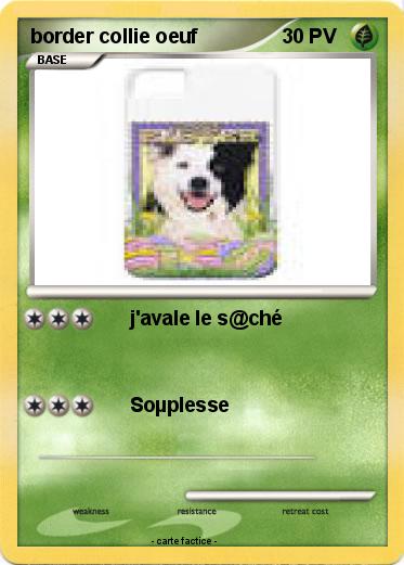 Pokemon border collie oeuf